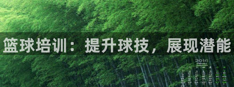 富联建工：篮球培训：提升球技，展现潜能